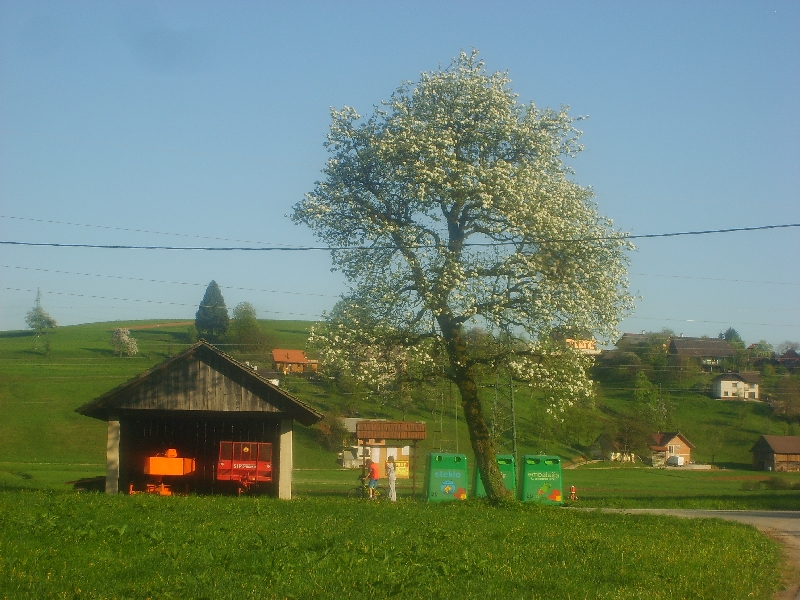 kozolci09329