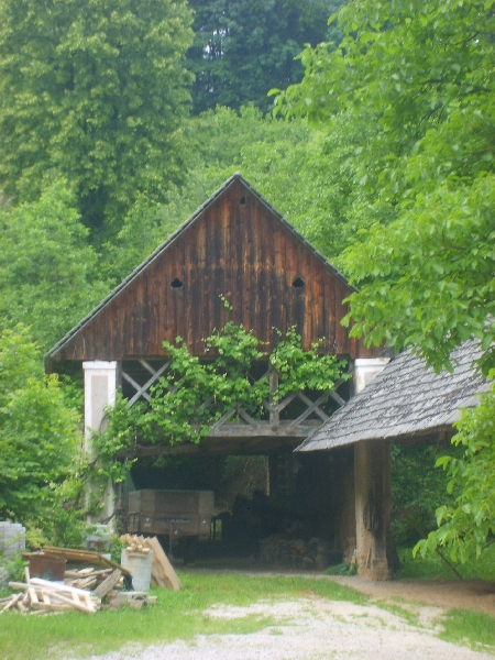 kozolci09339