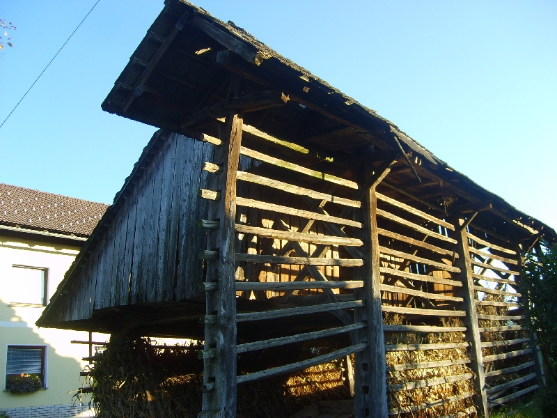 kozolci09349