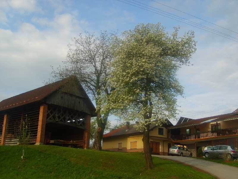 kozolci09332