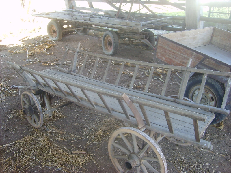 kozolci09356