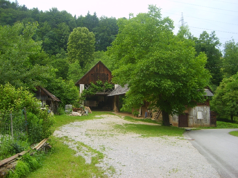 kozolci09337