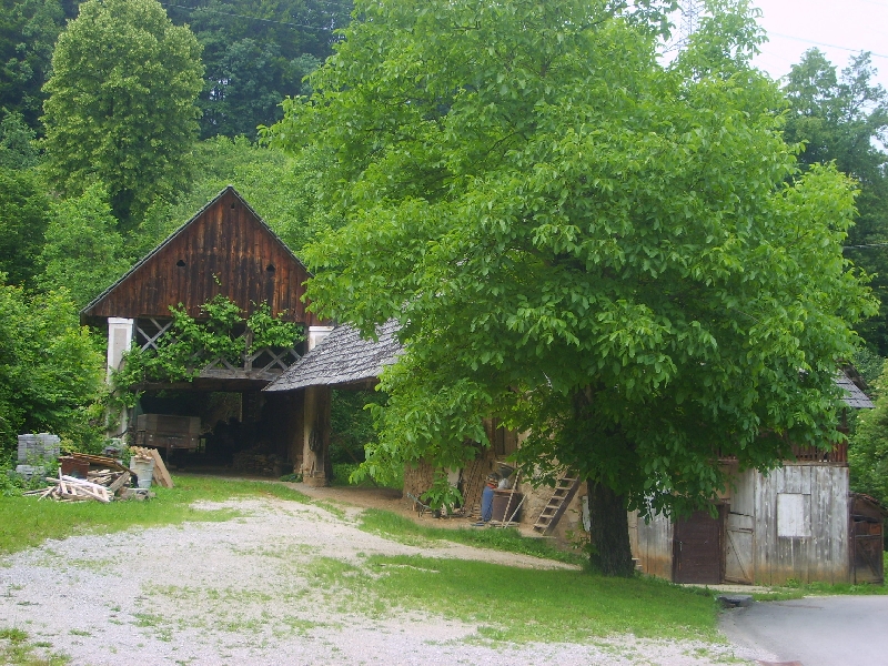kozolci09338