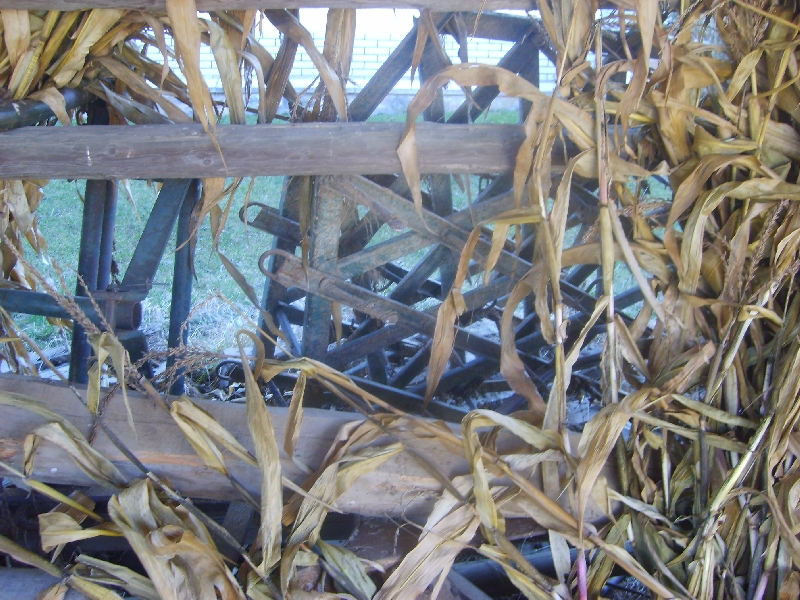 kozolci09358