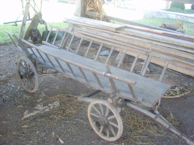 kozolci09362