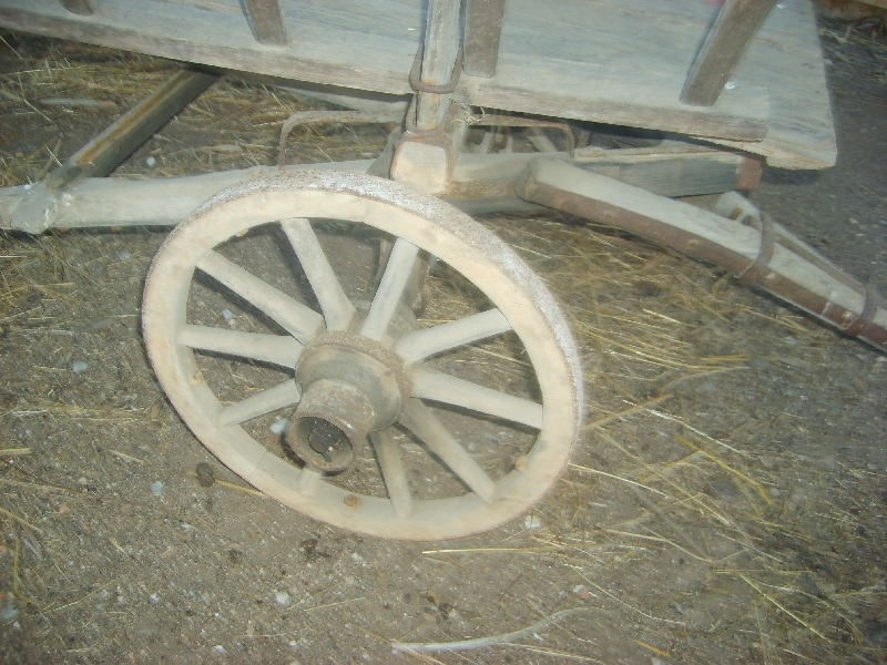 kozolci09363