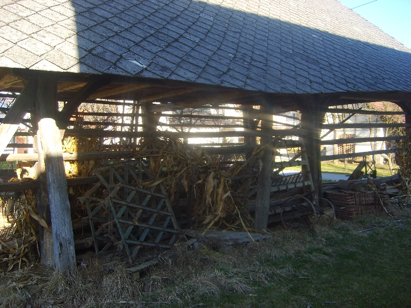 kozolci09369