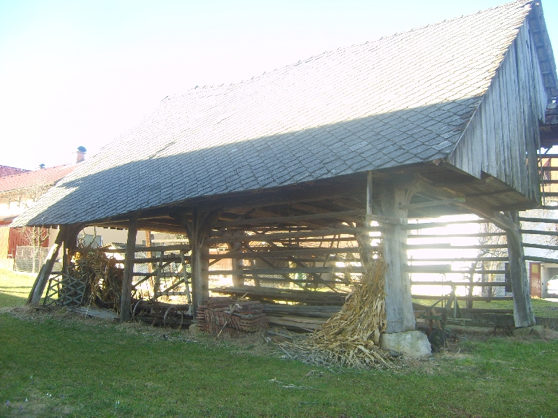 kozolci09371
