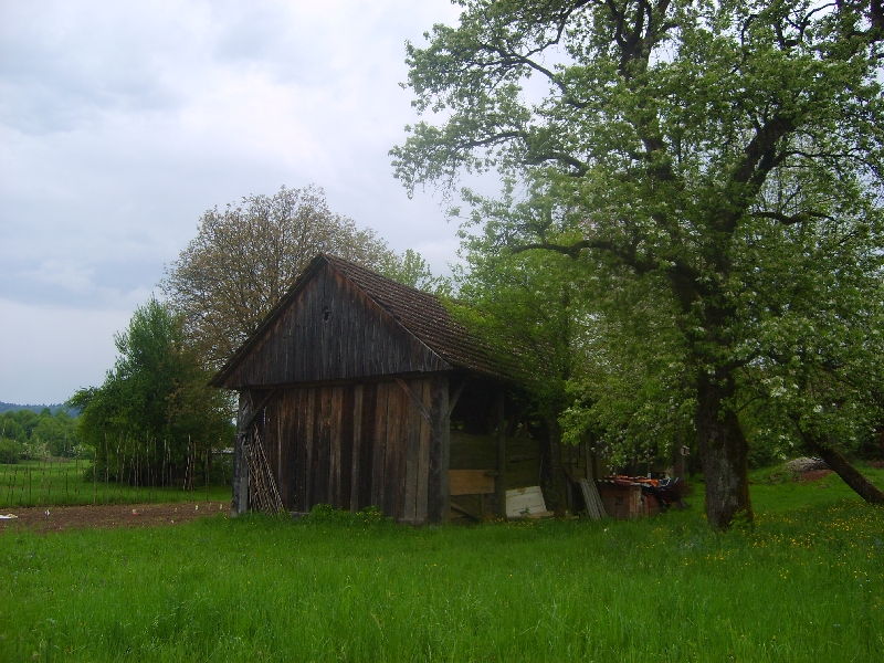 kozolci09206