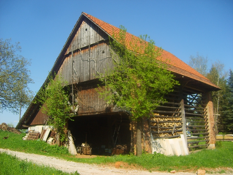 kozolci09262