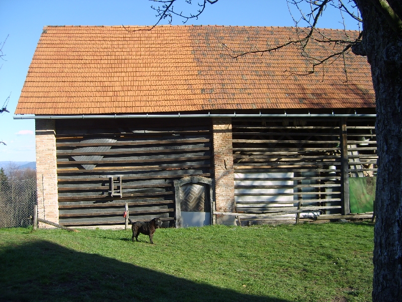 kozolci09251