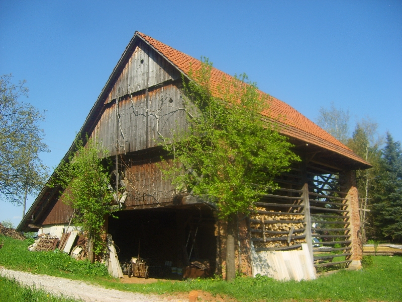 kozolci09261