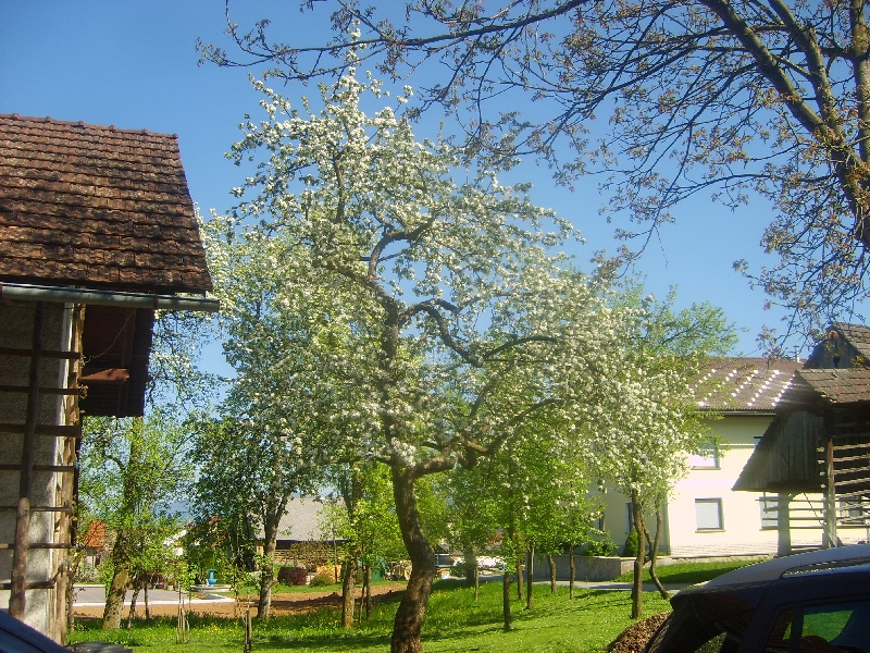 kozolci09078