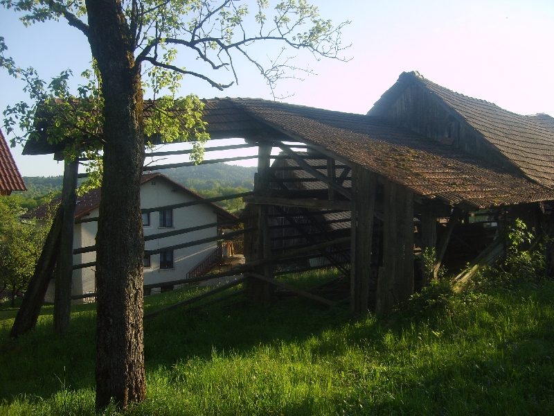 kozolci09276