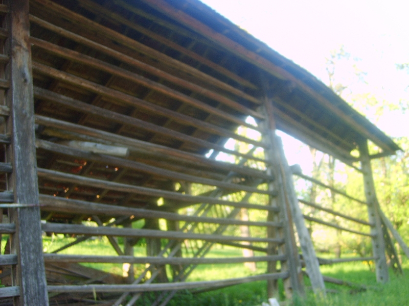kozolci09279