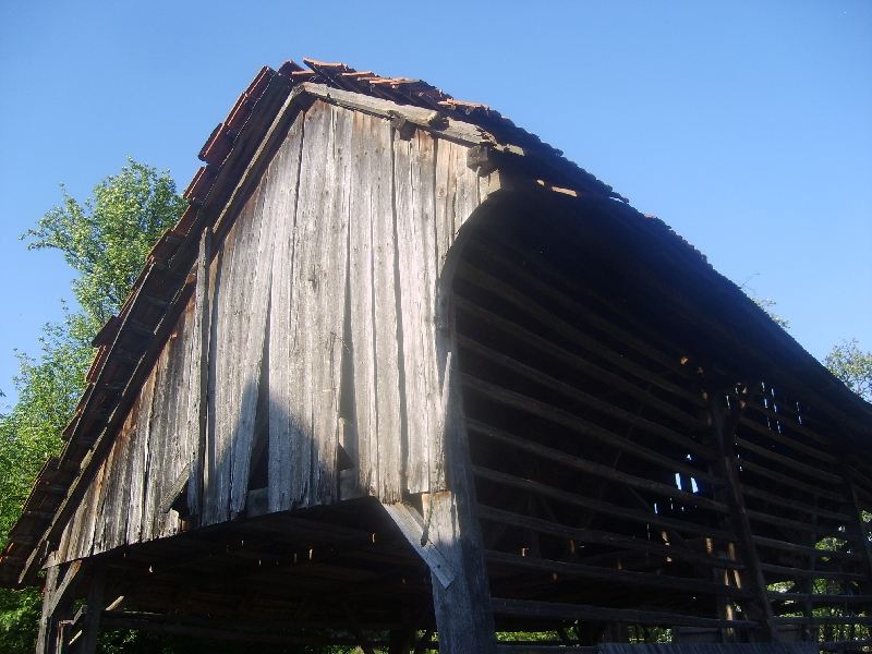 kozolci09278