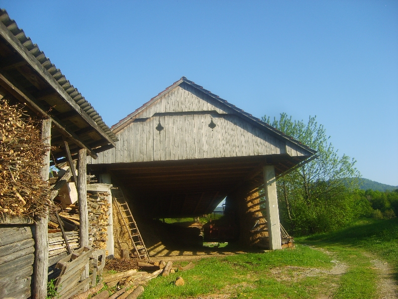 kozolci09281