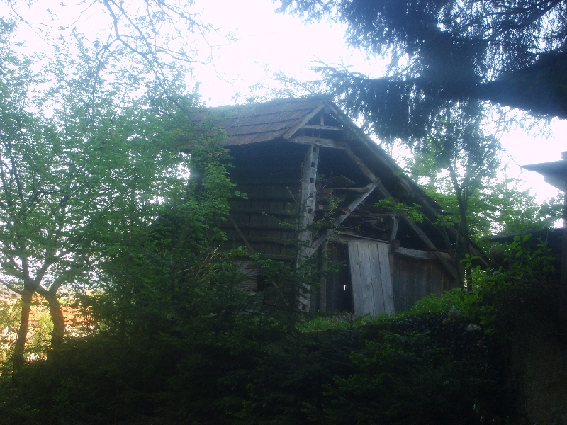 kozolci09101