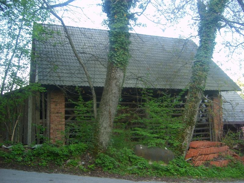 kozolci09103